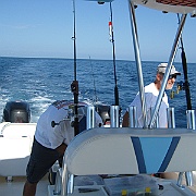 Picture 015